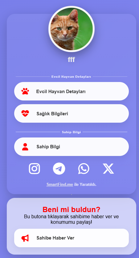 Alert notification sent to the owner